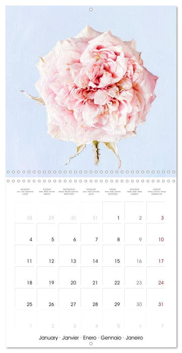 Masterful Blossoms The Magic of the Rose in Oil (CALVENDO Monthly Calendar 2027)