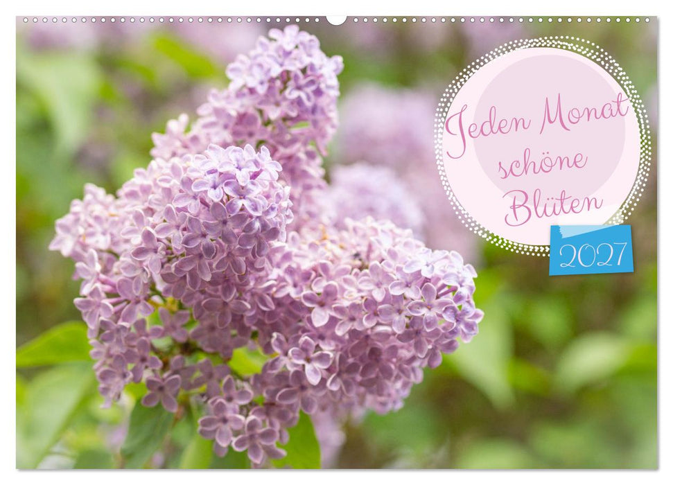 Jeden Monat schöne Blüten (CALVENDO Wandkalender 2027)