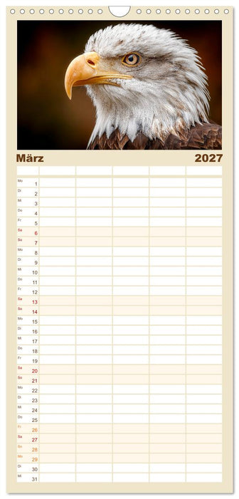Majestätische Weißkopfseeadler - Der König der Lüfte (CALVENDO Familienplaner 2027)