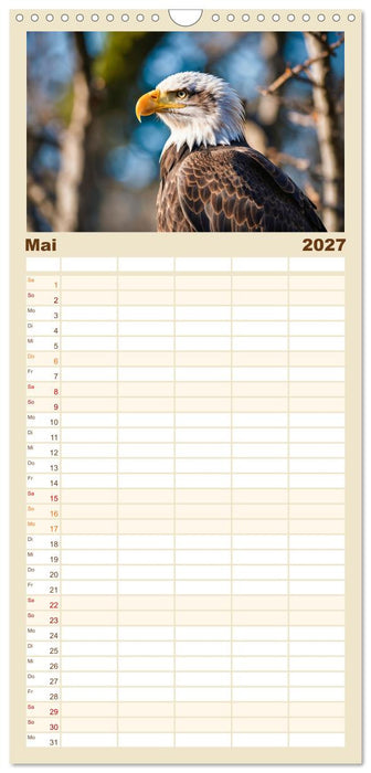 Majestätische Weißkopfseeadler - Der König der Lüfte (CALVENDO Familienplaner 2027)