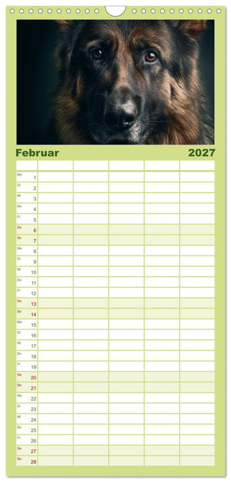 Hundeglück (CALVENDO Familienplaner 2027)