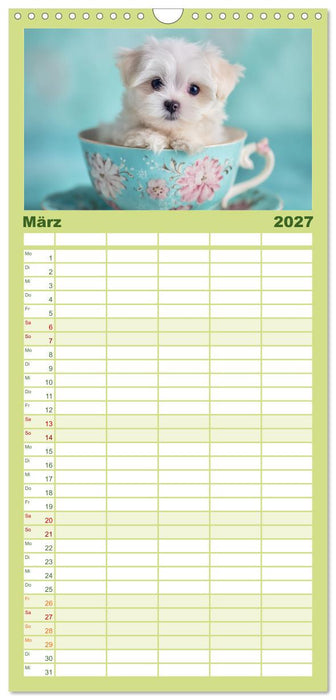 Hundeglück (CALVENDO Familienplaner 2027)