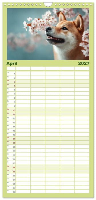 Hundeglück (CALVENDO Familienplaner 2027)