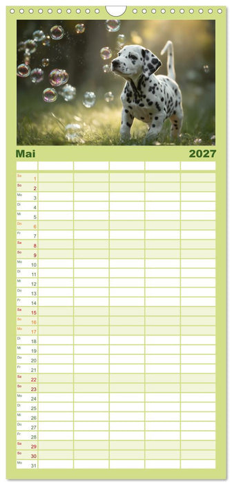 Hundeglück (CALVENDO Familienplaner 2027)