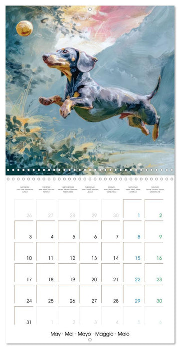 Dachshunds Illustrations - A hunter with humorous nature (CALVENDO Monthly Calendar 2027)