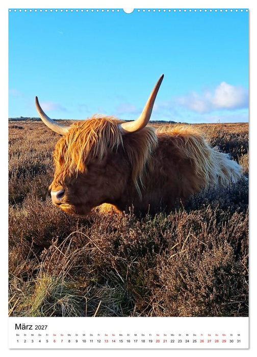 Peak District - Im Herzen Englands (CALVENDO Wandkalender 2027)