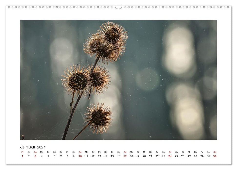 Bokehzauber (CALVENDO Premium Wandkalender 2027)