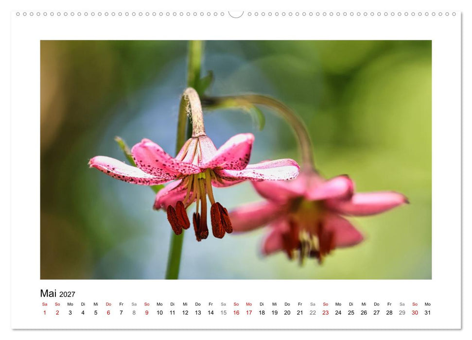 Bokehzauber (CALVENDO Premium Wandkalender 2027)