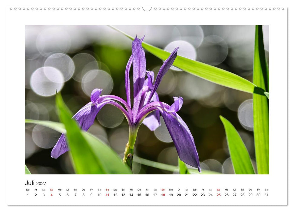 Bokehzauber (CALVENDO Premium Wandkalender 2027)