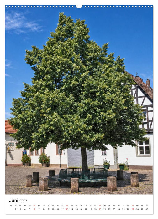 Weinstadt Hochheim am Main (CALVENDO Premium Wandkalender 2027)