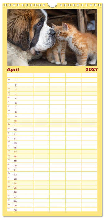Hund und Katze - Tierische Freunde (CALVENDO Familienplaner 2027)