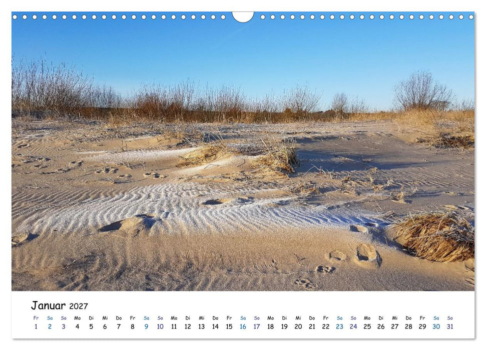 Elbinsel Krautsand - Impressionen von Land und Fluss (CALVENDO Wandkalender 2027)