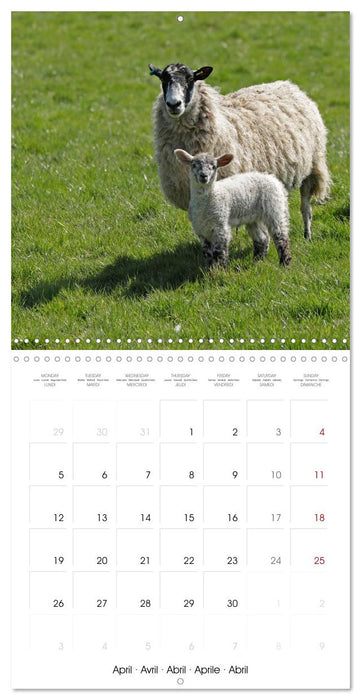 The Cotswolds - Idyllic part of England (CALVENDO Monthly Calendar 2027)