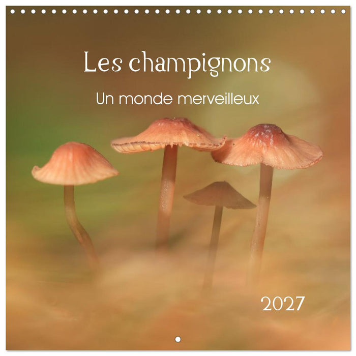 Les champignons - Un monde merveilleux (CALVENDO Calendrier mensuel 2027)