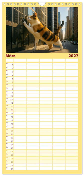 Katzen Weltherrschaft (CALVENDO Familienplaner 2027)