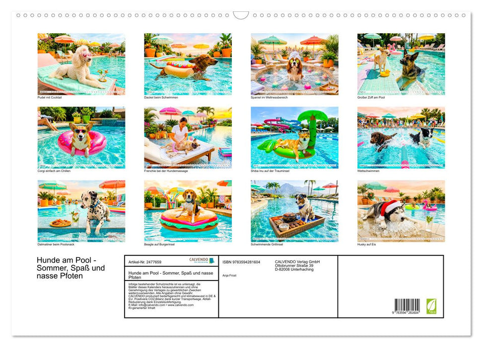 Hunde am Pool - Sommer, Spaß und nasse Pfoten (CALVENDO Wandkalender 2027)