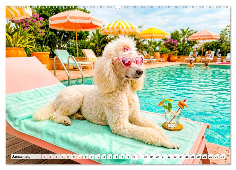 Hunde am Pool - Sommer, Spaß und nasse Pfoten (CALVENDO Wandkalender 2027)