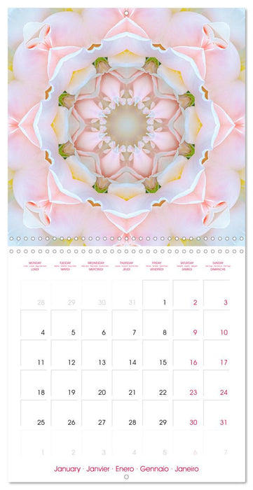 MANDALAS OF ROSES (CALVENDO Monthly Calendar 2027)