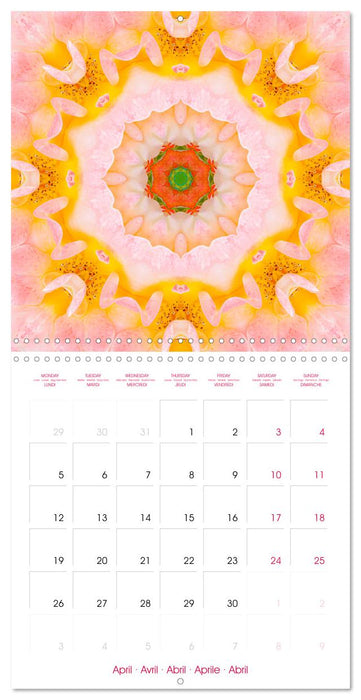 MANDALAS OF ROSES (CALVENDO Monthly Calendar 2027)