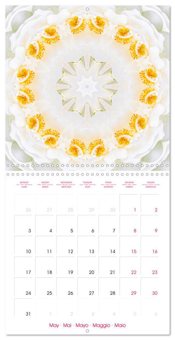 MANDALAS OF ROSES (CALVENDO Monthly Calendar 2027)