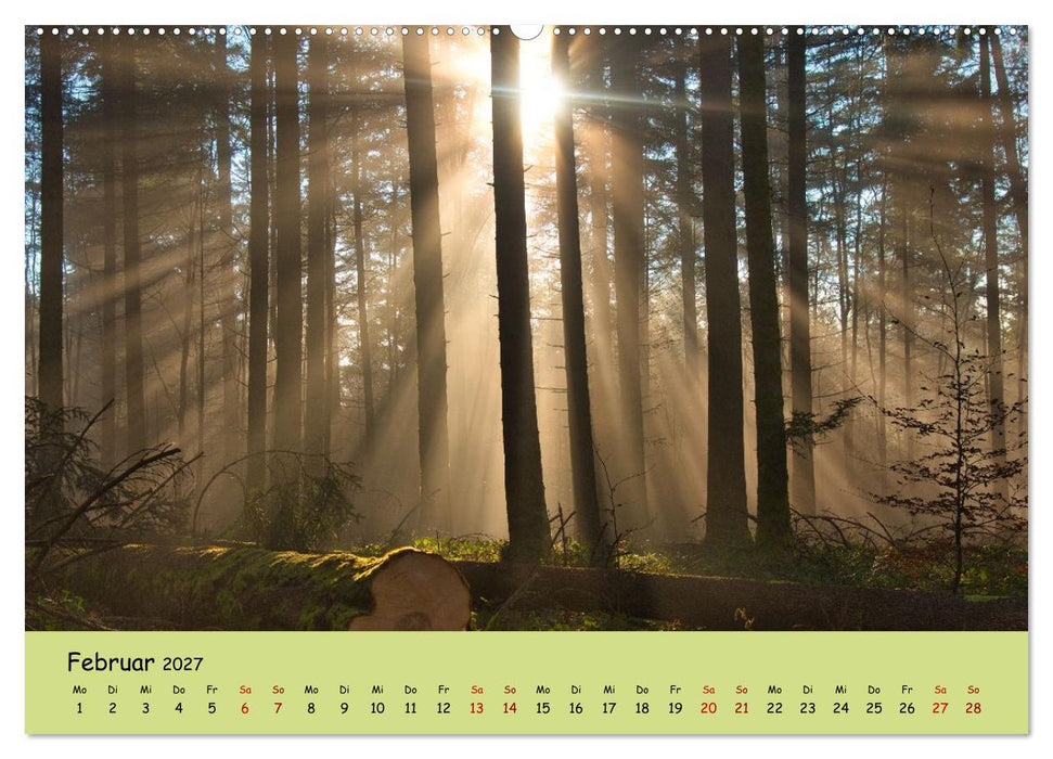 Zauber des Norschwarzwalds (CALVENDO Wandkalender 2027)