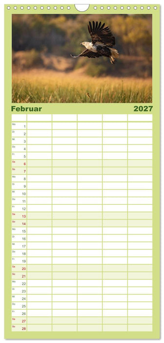 Sambias großartige Tierwelt (CALVENDO Familienplaner 2027)