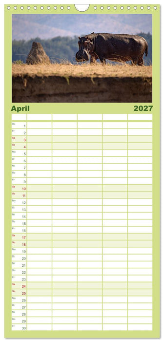 Sambias großartige Tierwelt (CALVENDO Familienplaner 2027)