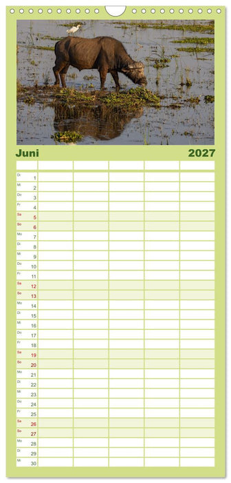 Sambias großartige Tierwelt (CALVENDO Familienplaner 2027)