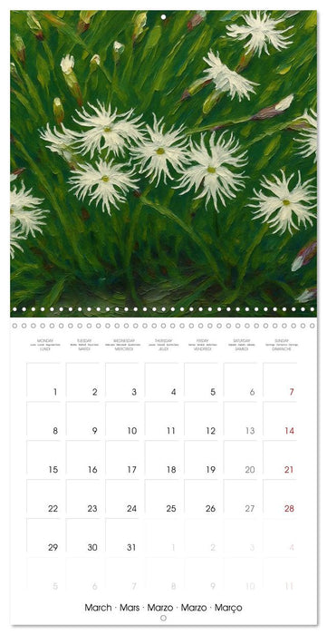 Eurasia Flowers (CALVENDO Monthly Calendar 2027)