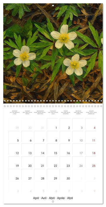 Eurasia Flowers (CALVENDO Monthly Calendar 2027)