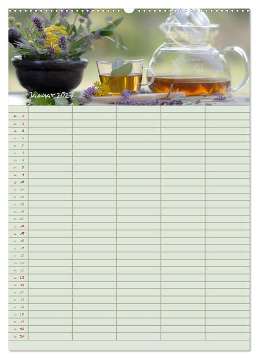 Naturgartenglück - Jahresplaner für Garten- und Naturliebhaber (CALVENDO Premium Wandkalender 2027)