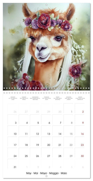 Alpagas du cœur (CALVENDO Calendrier mensuel 2027)