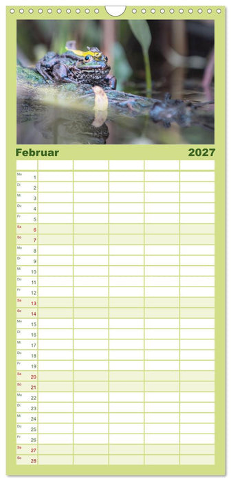 Fröhliche Frösche (CALVENDO Familienplaner 2027)