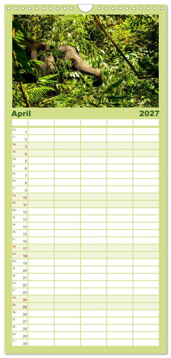 Entdecke Sumatra (CALVENDO Familienplaner 2027)