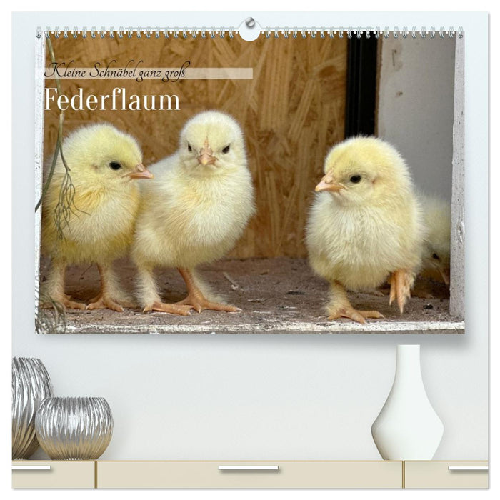 Federflaum - Kleine Schnäbel ganz groß (CALVENDO Premium Wandkalender 2027)