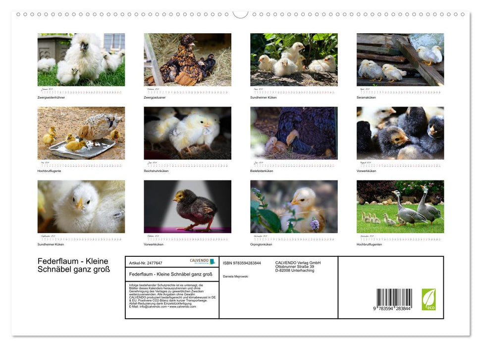 Federflaum - Kleine Schnäbel ganz groß (CALVENDO Premium Wandkalender 2027)