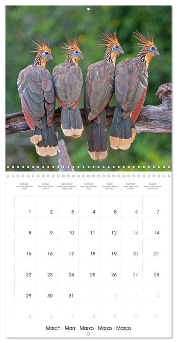 Peru - Lima - Andes - Amazon Basin (CALVENDO Monthly Calendar 2027)