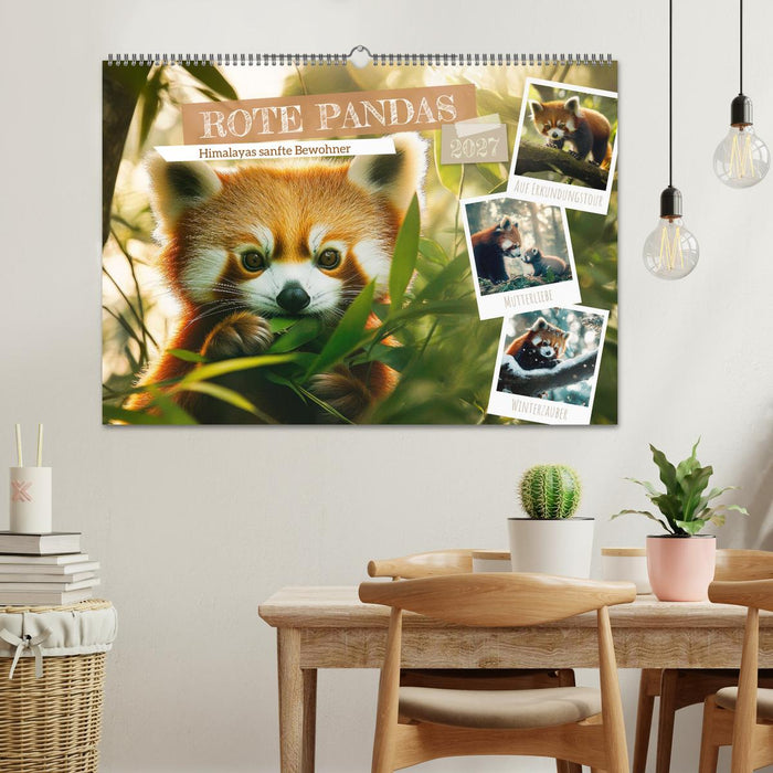 Rote Pandas - Himalayas sanfte Bewohner (CALVENDO Wandkalender 2027)