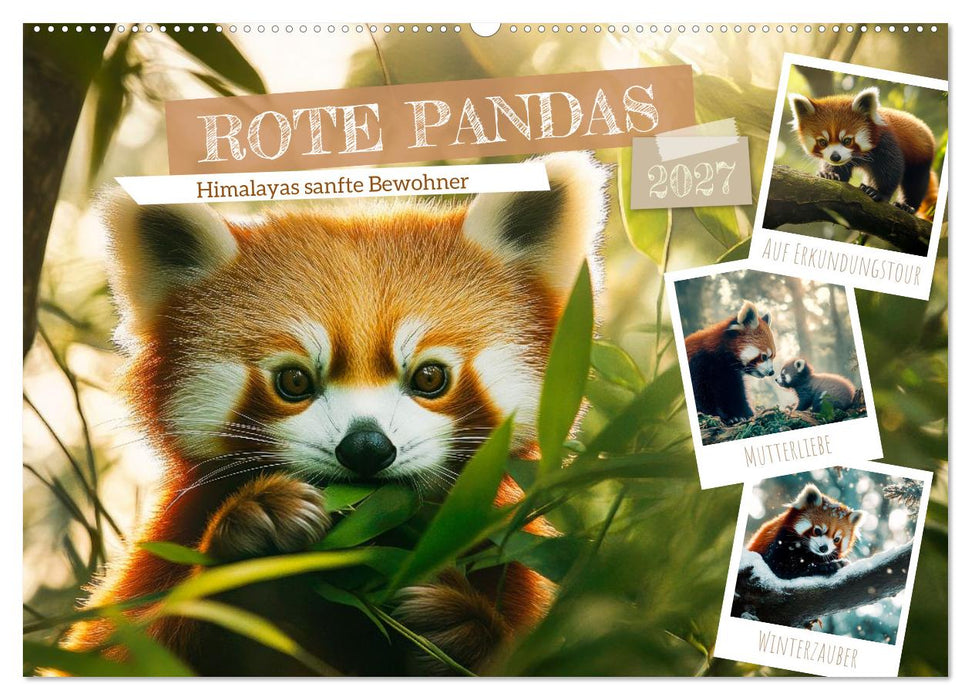Rote Pandas - Himalayas sanfte Bewohner (CALVENDO Wandkalender 2027)