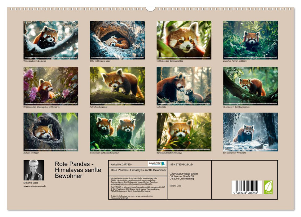 Rote Pandas - Himalayas sanfte Bewohner (CALVENDO Wandkalender 2027)