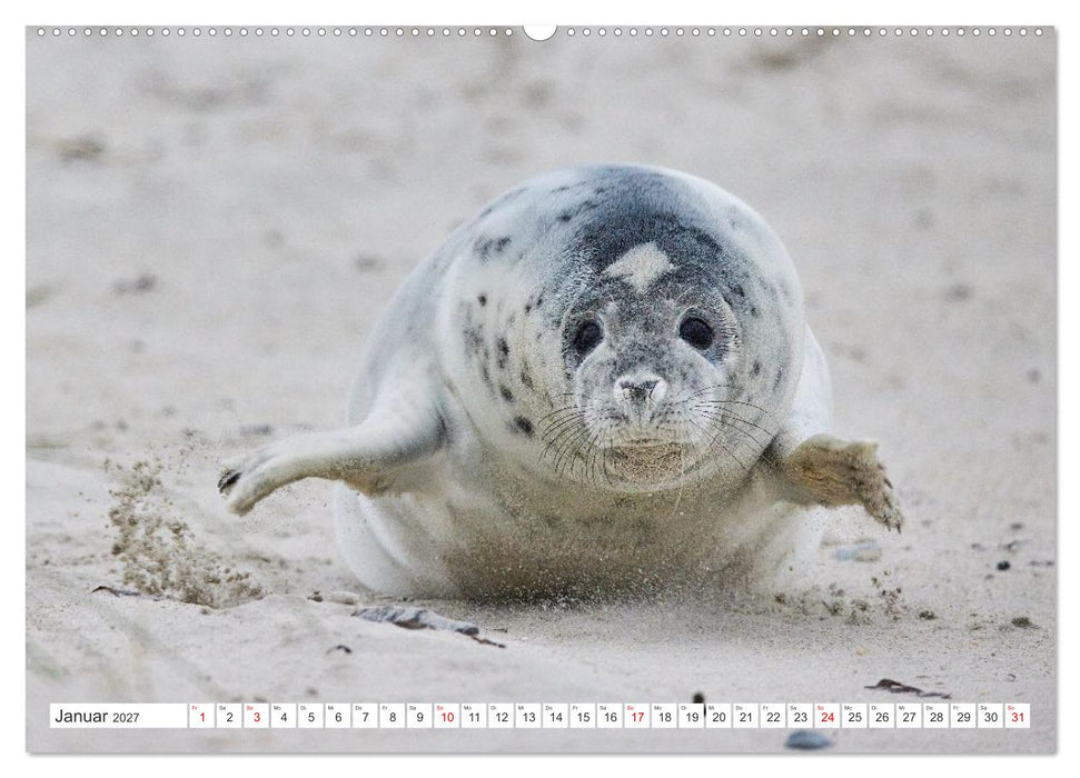 Nordseeinseln - Pure Erholung in der Natur (CALVENDO Wandkalender 2027)