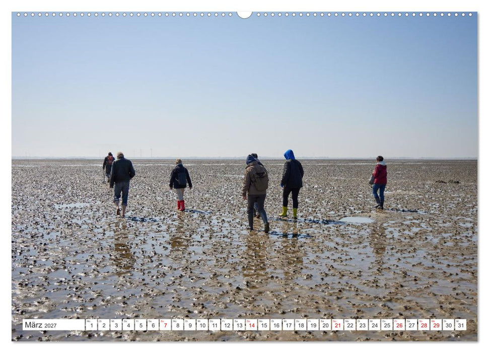 Nordseeinseln - Pure Erholung in der Natur (CALVENDO Wandkalender 2027)