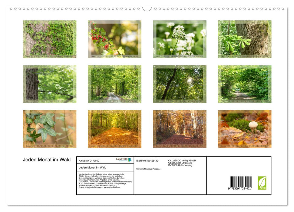 Jeden Monat im Wald (CALVENDO Premium Wandkalender 2027)