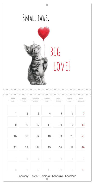 Purrfectly Cool Cats (CALVENDO Monthly Calendar 2027)
