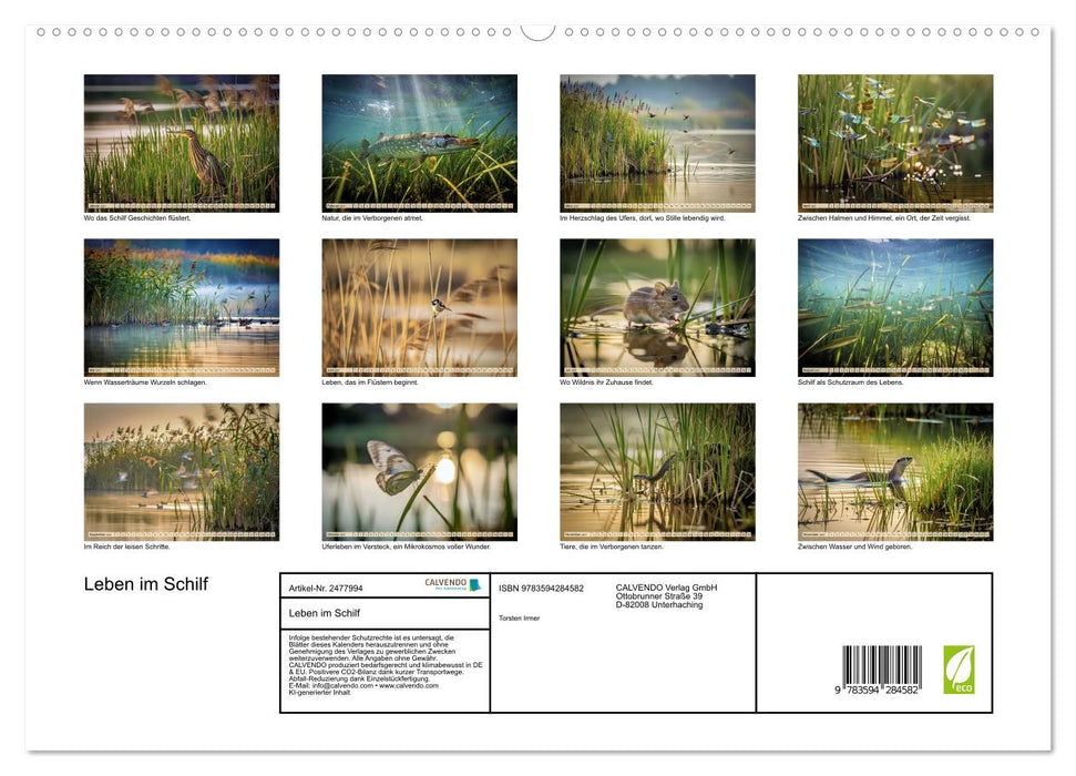 Leben im Schilf (CALVENDO Premium Wandkalender 2027)