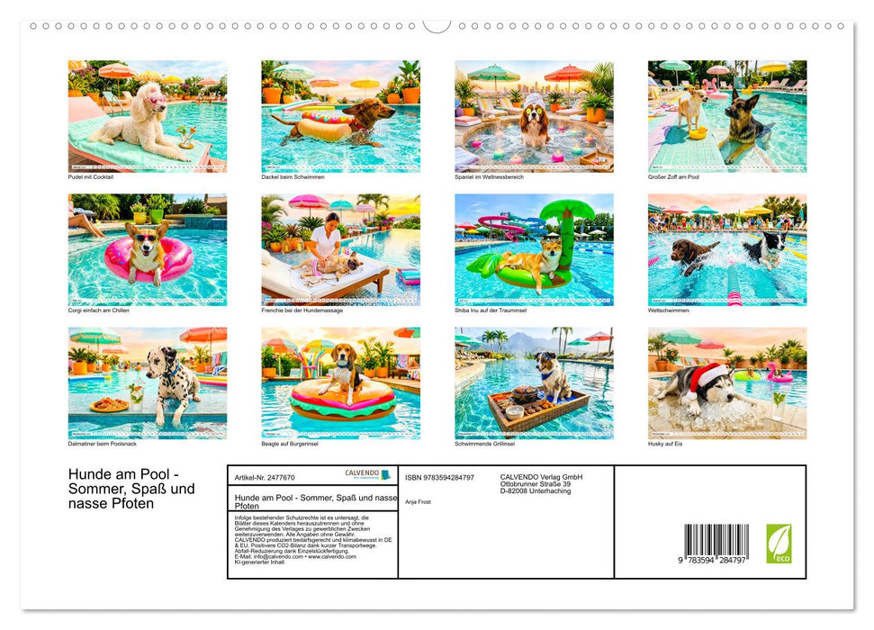 Hunde am Pool - Sommer, Spaß und nasse Pfoten (CALVENDO Premium Wandkalender 2027)
