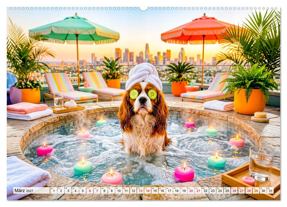 Hunde am Pool - Sommer, Spaß und nasse Pfoten (CALVENDO Premium Wandkalender 2027)