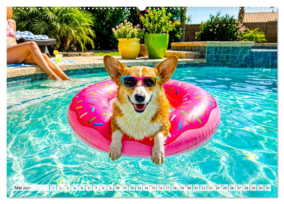 Hunde am Pool - Sommer, Spaß und nasse Pfoten (CALVENDO Premium Wandkalender 2027)
