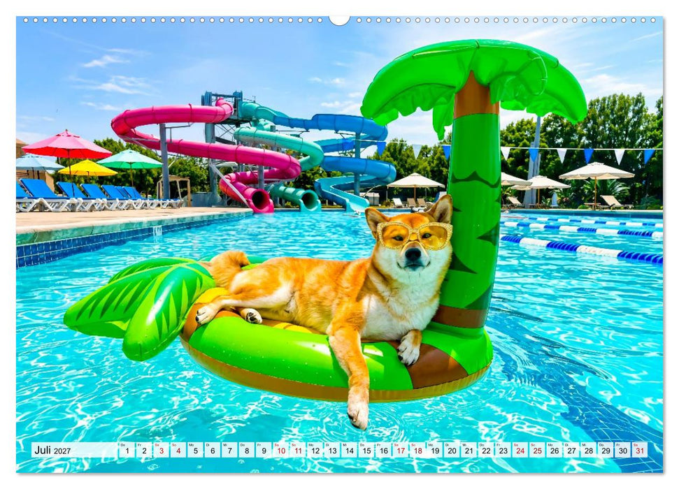 Hunde am Pool - Sommer, Spaß und nasse Pfoten (CALVENDO Premium Wandkalender 2027)