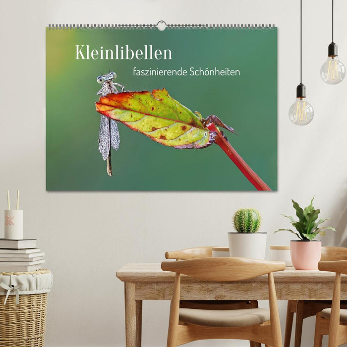 Kleinlibellen - faszinierende Schönheiten (CALVENDO Wandkalender 2027)
